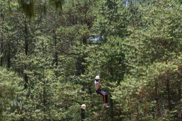  En forêt 
